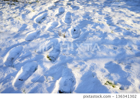 雪景 雪景 雪 雪 冬季 寒流 二月 136341302