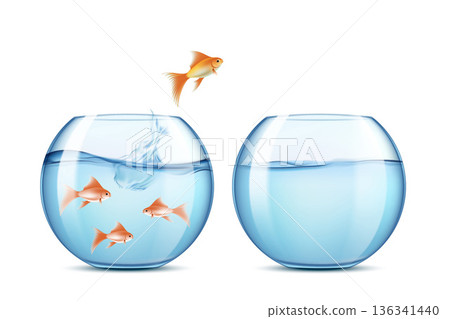 Fish jumps from one aquarium to another Fish jumps from one aquarium to another 136341440