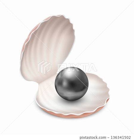 Black pearl in an open oyster sea shell 136341502