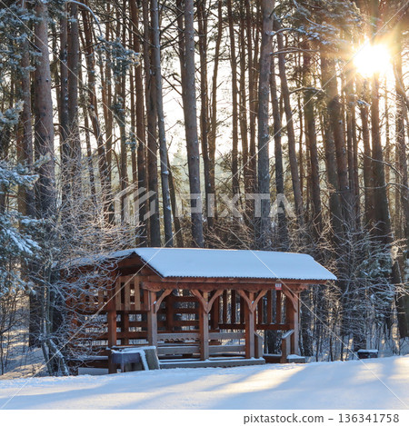 Wooden gazebo with a snow covered roof nestled against a backdrop of tall pine trees as the winter sun shines brightly 136341758