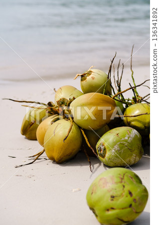 Fresh coconuts gathered on a sandy beach near tranquil waves during a sunny day Fresh coconuts gathered on a sandy beach near tranquil waves during a sunny day 136341892