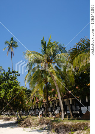Tropical beach resort with palm trees and peaceful cabins by the shore under clear blue skies during daytime. Long Beach, Malaysia Tropical beach resort with palm trees and peaceful cabins by the shore under clear blue skies during daytime. Long Beach, Malaysia 136341893