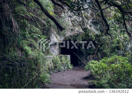 Tunnel entrance on Levada do Caldeirao Verde PR9 Madeira Portugal, mossy walls Tunnel entrance on Levada do Caldeirao Verde PR9 Madeira Portugal, mossy walls 136342012