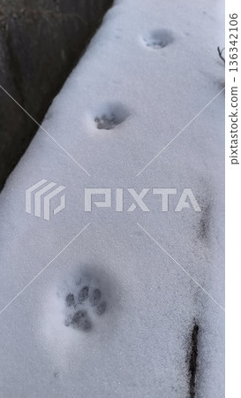 小動物的足跡 小動物的足跡 136342106