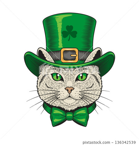 Saint Patricks Day Cat in Green Hat Vector Illustration Saint Patricks Day Cat in Green Hat Vector Illustration 136342539
