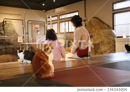 猴島樂園和動物城，日光，栃木縣，猴島 136343004