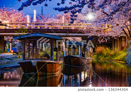 Fushimi Jikkokubune Cherry Blossom Scenery Fushimi Jikkokubune Cherry Blossom Scenery 136344304