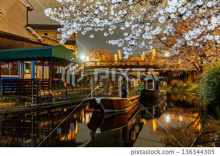 Fushimi Jikkokubune Cherry Blossom Scenery Fushimi Jikkokubune Cherry Blossom Scenery 136344305