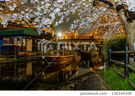 Fushimi Jikkokubune Cherry Blossom Scenery Fushimi Jikkokubune Cherry Blossom Scenery 136344306