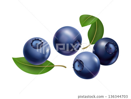 Shimmering blueberry bunches on leafy backdrop art, Colorful illustration showcasing glossy blueberries with dew and vibrant leafy surroundings for culinary presentation 136344703