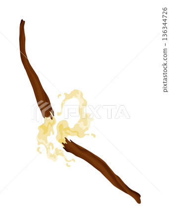 Vanilla pods or stick. Realistic vector design isolated element. Nature spice with drops Vanilla pods or stick. Realistic vector design isolated element. Nature spice with drops 136344726