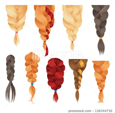 Hair braids. Long female fashion plaits. Vector illustration of human hair in different natural colors. Cartoon art illustration with ribbons isolated on white background Hair braids. Long female fashion plaits. Vector illustration of human hair in different natural colors. Cartoon art illustration with ribbons isolated on white background 136344730