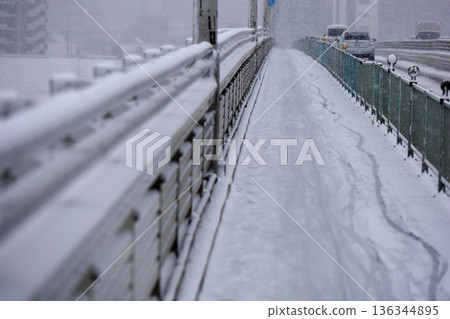 新荒川大橋的支路被白雪覆蓋。 136344895
