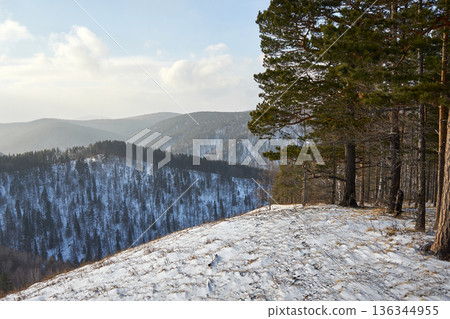 Winter landscape of snow-dusted pine forest and distant mountain range. Beautiful nature scenery for travel brochure and outdoor adventure. Winter landscape of snow-dusted pine forest and distant mountain range. Beautiful nature scenery for travel brochure and outdoor adventure. 136344955