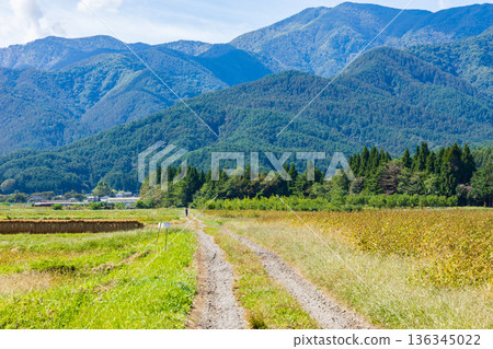 Autumn in Shinshu Ina Valley, Minowa Town, Nagano Prefecture, a peaceful landscape Autumn in Shinshu Ina Valley, Minowa Town, Nagano Prefecture, a peaceful landscape 136345022