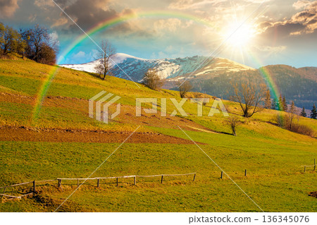 remote mountainous rural landscape in springtime at sunset. arable and trees on steep slope in green grass in evening light. distant snow capped peak. april weather under rainbow and clouds on the sky 136345076