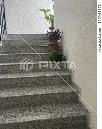 Steps leading to a bright area with potted plants beside them during the day  136345178