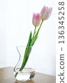 Tulips in a glass vase on a white background 136345258