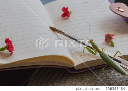 Praying mantis holding a pen, preparing to write in a floral notebook Praying mantis holding a pen, preparing to write in a floral notebook 136345484