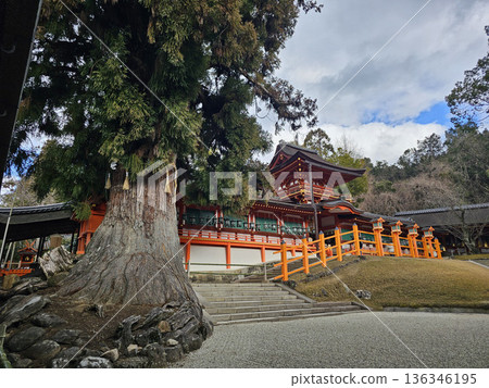 奈良縣奈良市春日野町春日大社 136346195