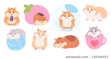 Cartoon fluffy hamster. Cute hamsters, cartoon rodents eating seed, sleep, sitting in cup. Funny rodent pet, children animal mascots, racy vector characters Cartoon fluffy hamster. Cute hamsters, cartoon rodents eating seed, sleep, sitting in cup. Funny rodent pet, children animal mascots, racy vector characters 136346453