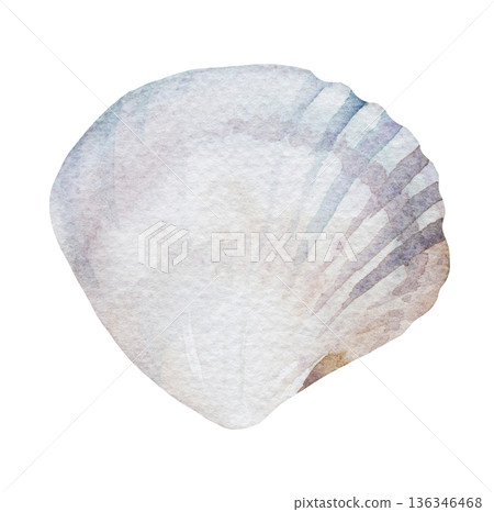 Hand drawn watercolor seashell in beige and grey, isolated illustration for coastal wedding stationery Hand drawn watercolor seashell in beige and grey, isolated illustration for coastal wedding stationery 136346468