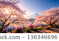 春日的陽光灑在富士山上，周圍環繞著櫻花。 136346696