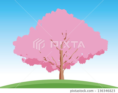 與櫻桃樹的風景 136346823