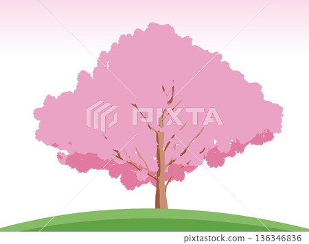 Scenery with cherry tree Scenery with cherry tree 136346836