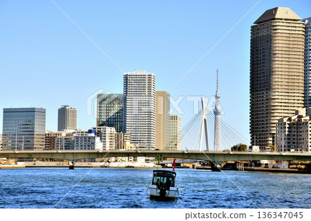 Tsukuda Bridge (East/Left Bank) / View of the Sumida River area from downstream (Chuo Ward, Tokyo) [February 2026] 136347045
