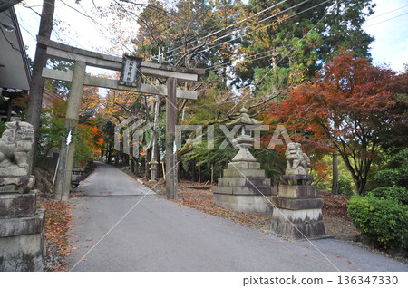 Autumn leaves at Kokyu Shrine in Omi Autumn leaves at Kokyu Shrine in Omi 136347330