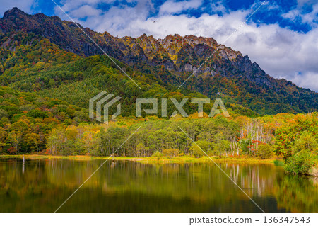 (Nagano Prefecture) Autumn reflected on the lake surface, Togakushi Plateau, Kagami Pond 136347543