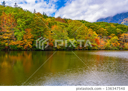 (Nagano Prefecture) Autumn reflected on the lake surface, Togakushi Plateau, Kagami Pond 136347548
