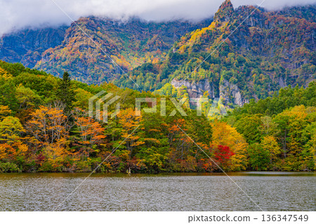 (Nagano Prefecture) Autumn reflected on the lake surface, Togakushi Plateau, Kagami Pond 136347549