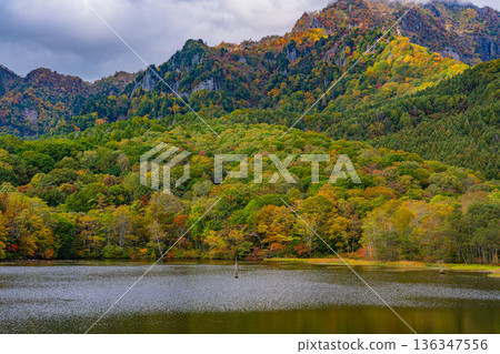 (Nagano Prefecture) Autumn reflected on the lake surface, Togakushi Plateau, Kagami Pond (Nagano Prefecture) Autumn reflected on the lake surface, Togakushi Plateau, Kagami Pond 136347556