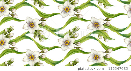 Seamless green borders with hand-drawn watercolor white flowers and leaves. Botanical horizontal pattern for holydays, Easter, Mother's Day, labels, frames, greeting cards, and summer and spring decor 136347683