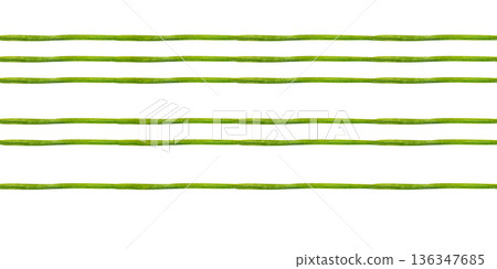 Seamless striped green borders with hand-drawn watercolor stems. Botanical elements create a horizontal pattern for holydays, Easter, Mother's Day, labels, frames, greeting cards, summer, spring decor 136347685