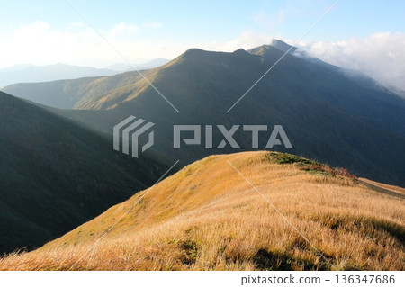 秋葉在晨曦中閃閃發光,山脈在秋色中交疊。 秋葉在晨曦中閃閃發光,山脈在秋色中交疊。 136347686