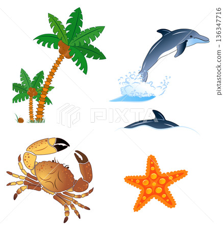 Summer banner 136347716