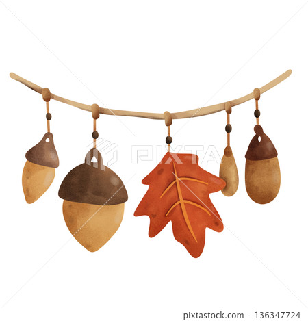Maple leaf and acorns hanging on a rope 136347724