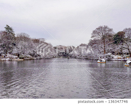 Inokashira Park 136347746