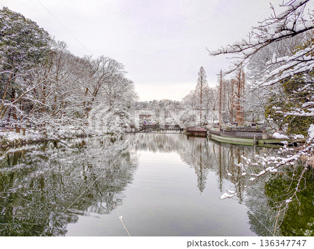 Inokashira Park Inokashira Park 136347747