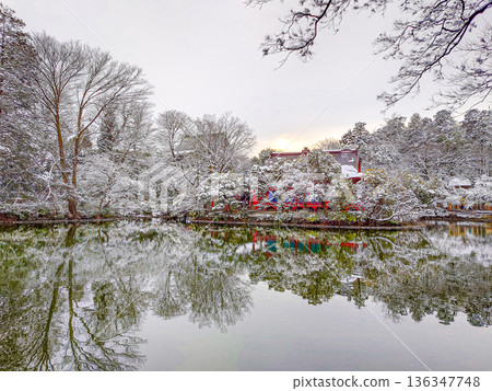 Inokashira Park 136347748