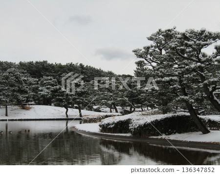 伊納格海濱公園海灘池塘的雪景 伊納格海濱公園海灘池塘的雪景 136347852