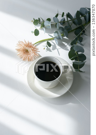 白色背景上的斜光：咖啡杯、尤加利和非洲菊靜物畫 136347870