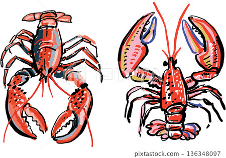 Colorful Sketch Lobster Illustration in Expressive Decorative Style Colorful Sketch Lobster Illustration in Expressive Decorative Style 136348097