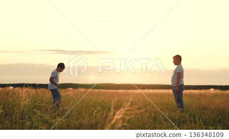 People nature, child kid playing ball lawn outdoors, happy childhood schoolchildren sunset, boys and their friends play football on the grass., children having fun on the lawn with a soccer ball 136348109