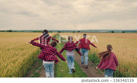 agriculture, children running for boys and girls, Energetic kids in wheat field, outdoor family fun, childhood happiness, playful team spirit, united siblings, running along rural road, fresh air joy agriculture, children running for boys and girls, Energetic kids in wheat field, outdoor family fun, childhood happiness, playful team spirit, united siblings, running along rural road, fresh air joy 136348119