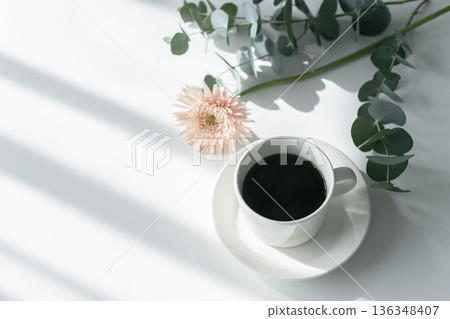 白色背景，留白：斜光、咖啡和非洲菊 136348407