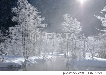 池塘上覆蓋著一層霜，冬天的陽光灑落在靜謐的森林景色上。 136348593